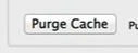 Click Purge Cache to remove all cache contents permanently