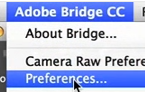 Click on Preferences